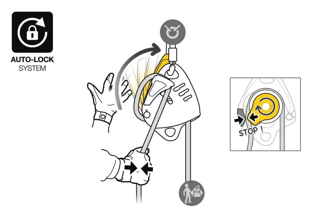 D024BA00-MAESTRO-L-focus-4_LowRes.webp